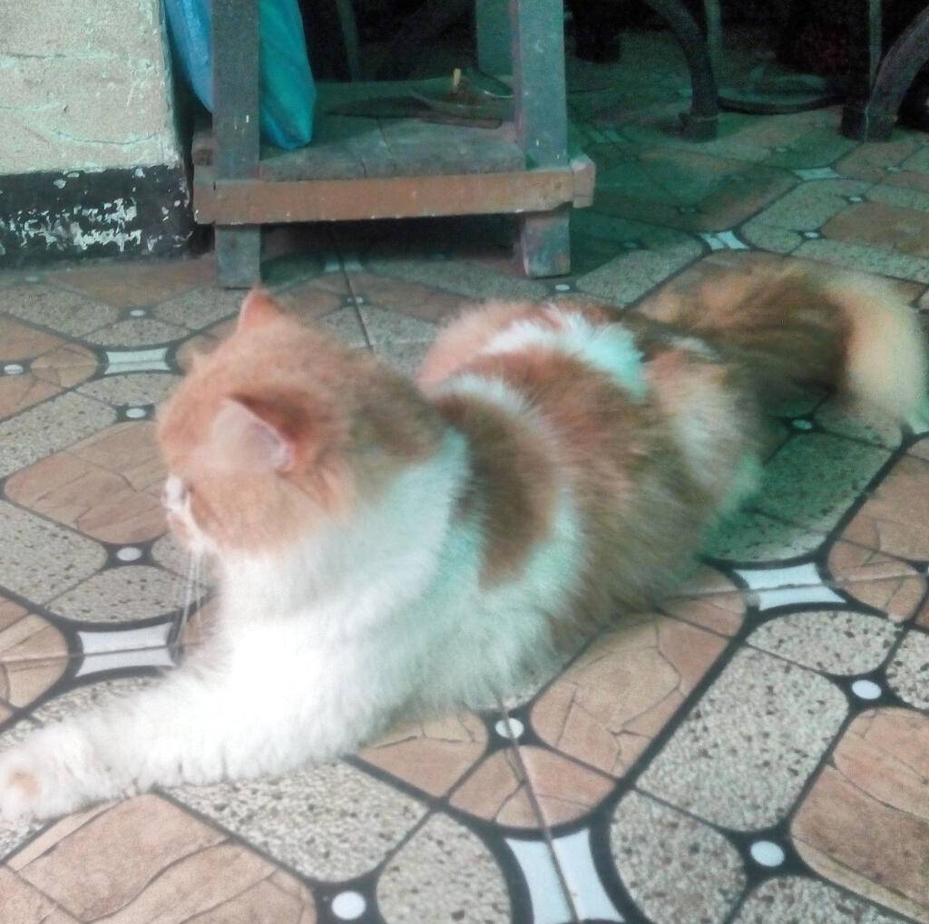 oyen-KHIKNOPIKT