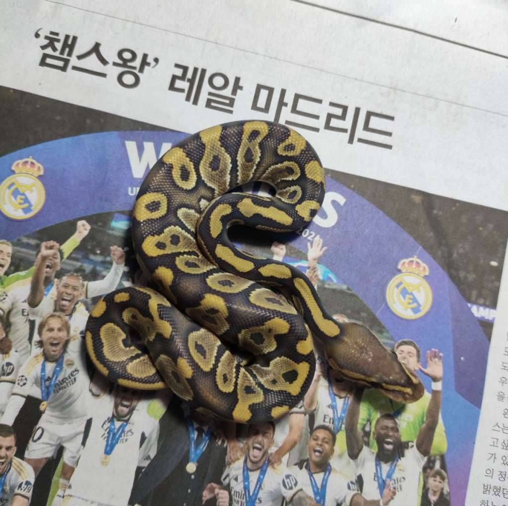 chocolate-hypo-KMJ3EM4222