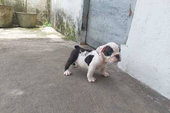 7M5T6PABBH