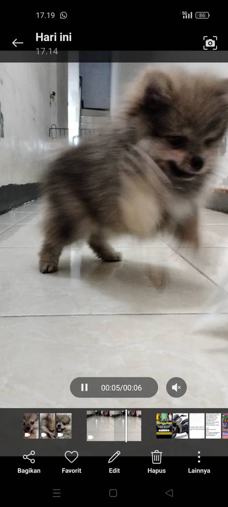 XGWQ1YY5J1RY0UXEDSX4