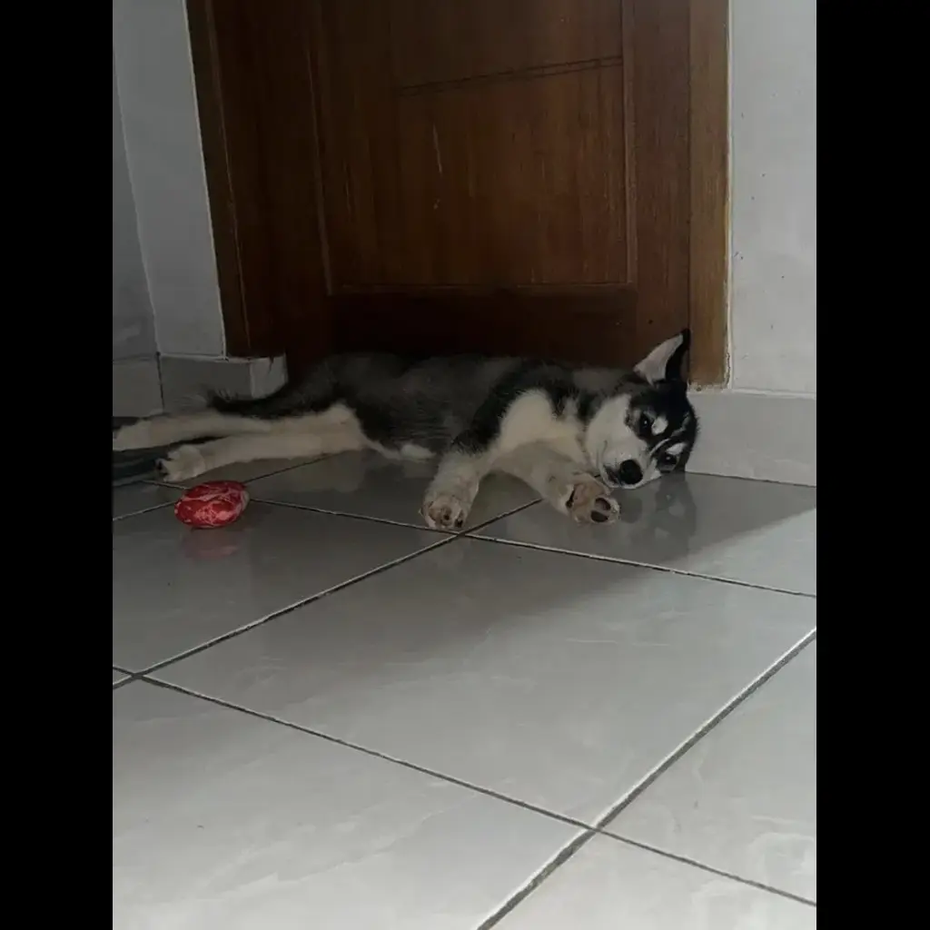 MFIQIJ8KCLZ7BXOCMVW4
