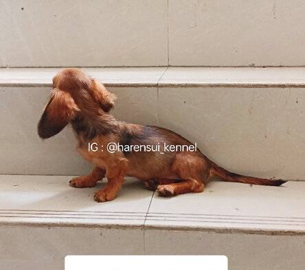 G8GZKU4IEB