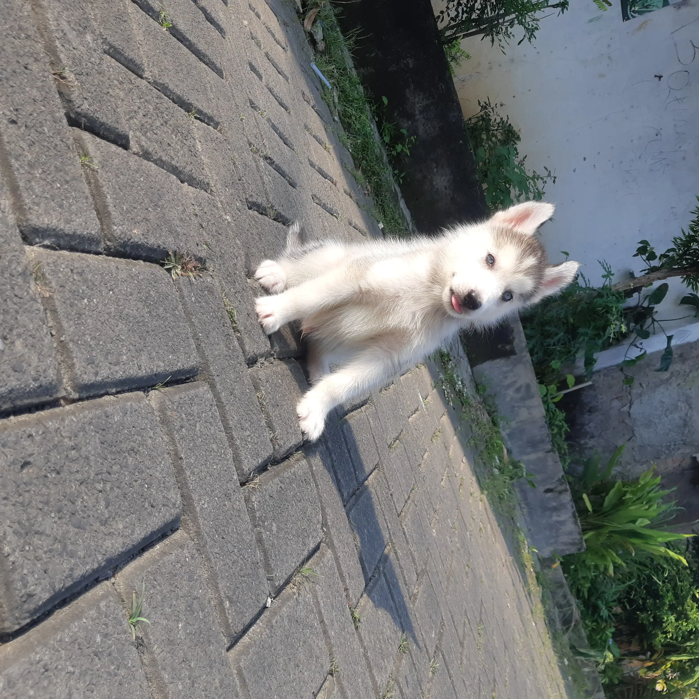 UN8M2NCVJ5F4I1DOGDW9