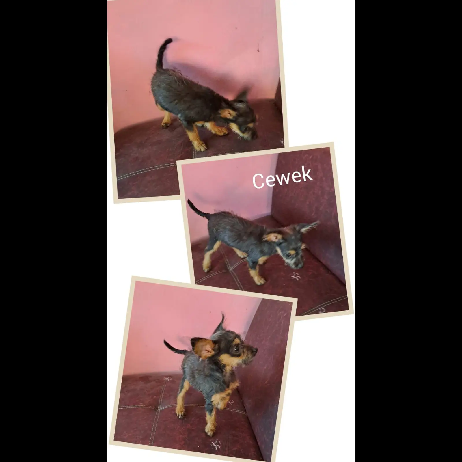 79KG43OBX7IBQWF1NLBQ