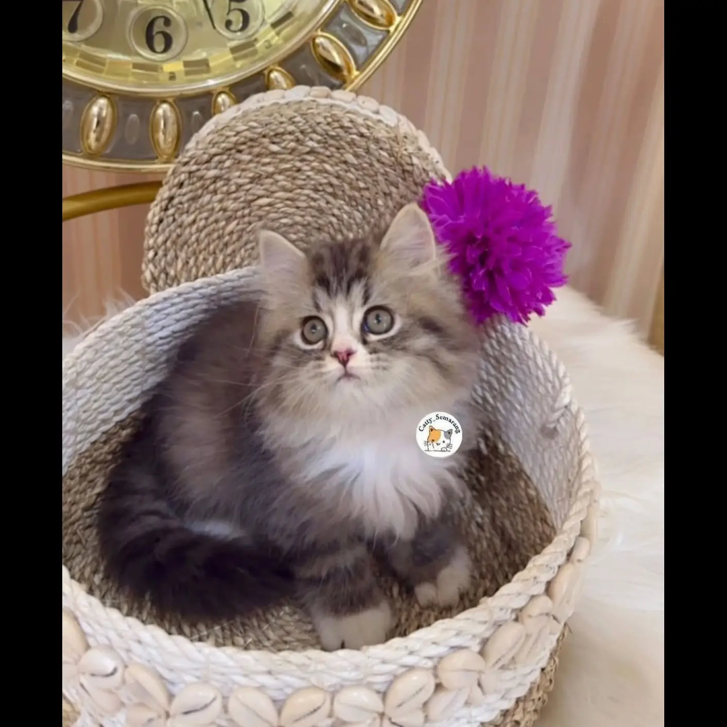 838X5WO4H1AEPXWH2GQT