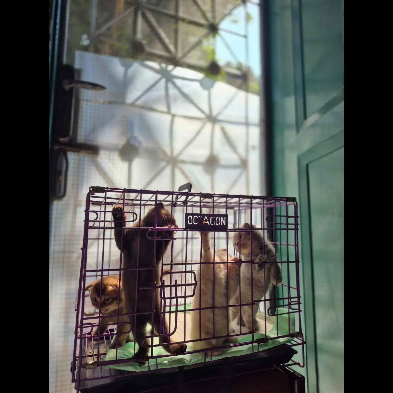 TCBCWBTBS8K8UZZKXQ3J