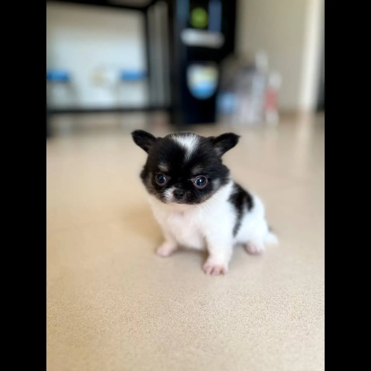 AWW1BVEUIXLAC4YZGMLQ