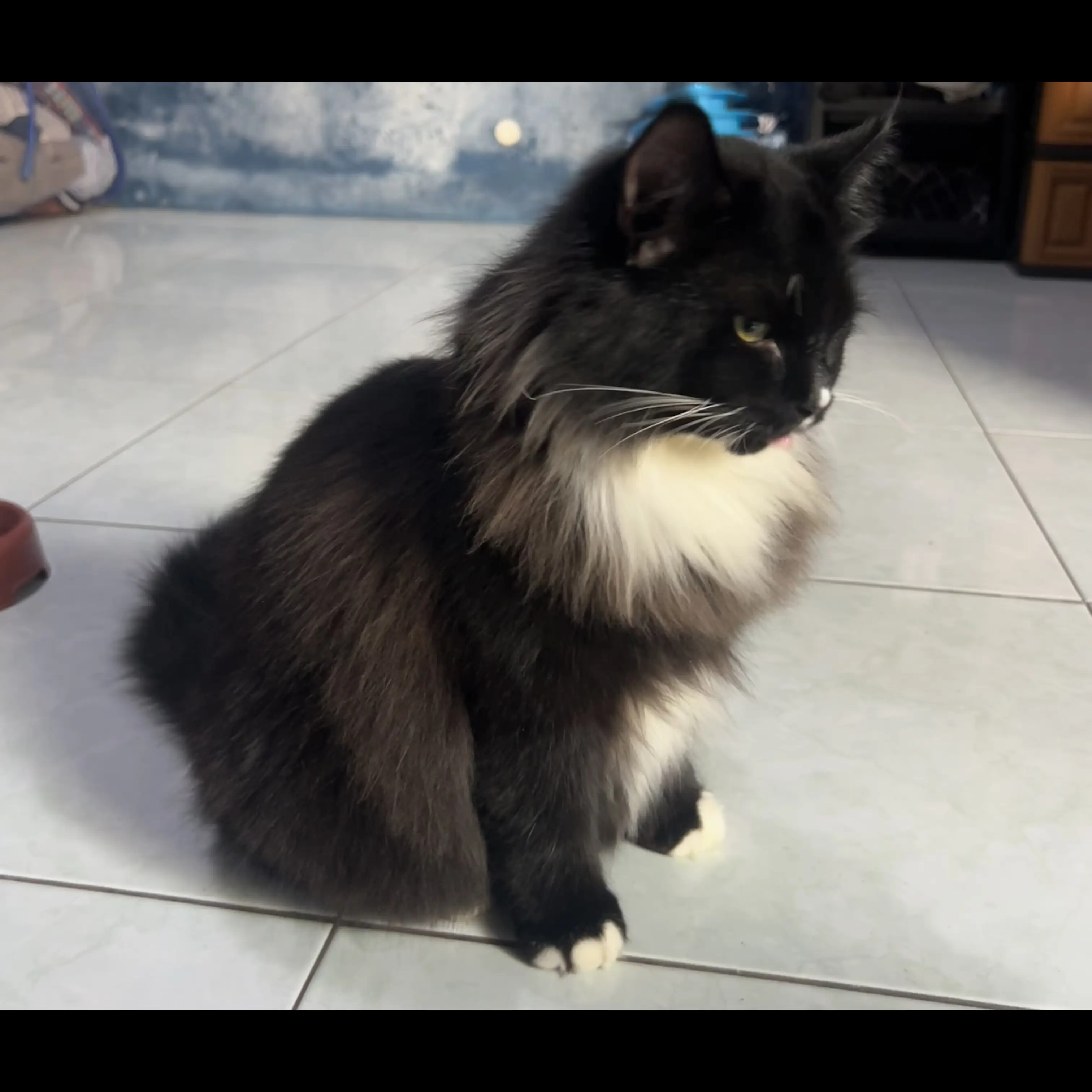 PAGZZO6J2HJ1IGOPW7WG