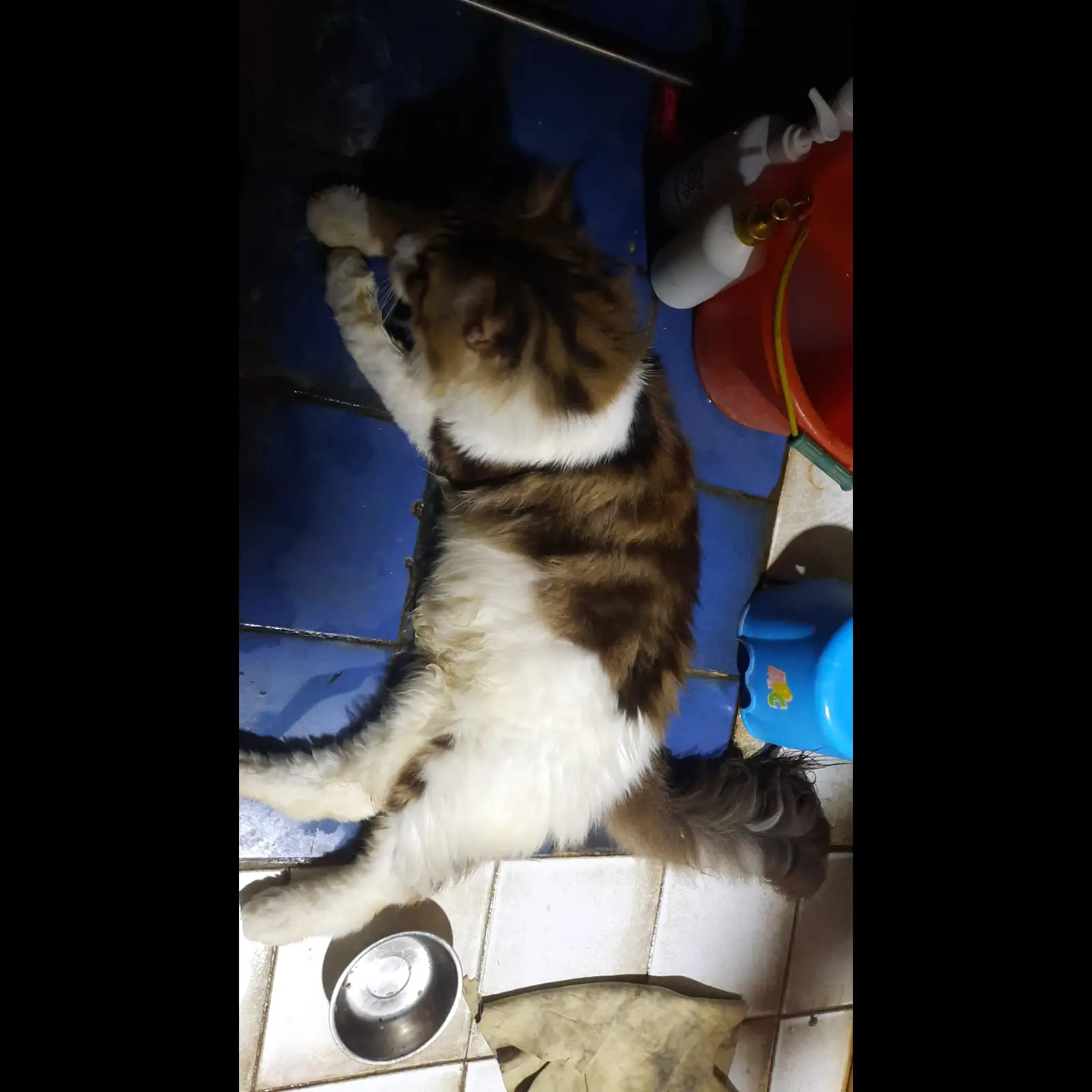 1HVDK7N6J7ODB2J5YMY7