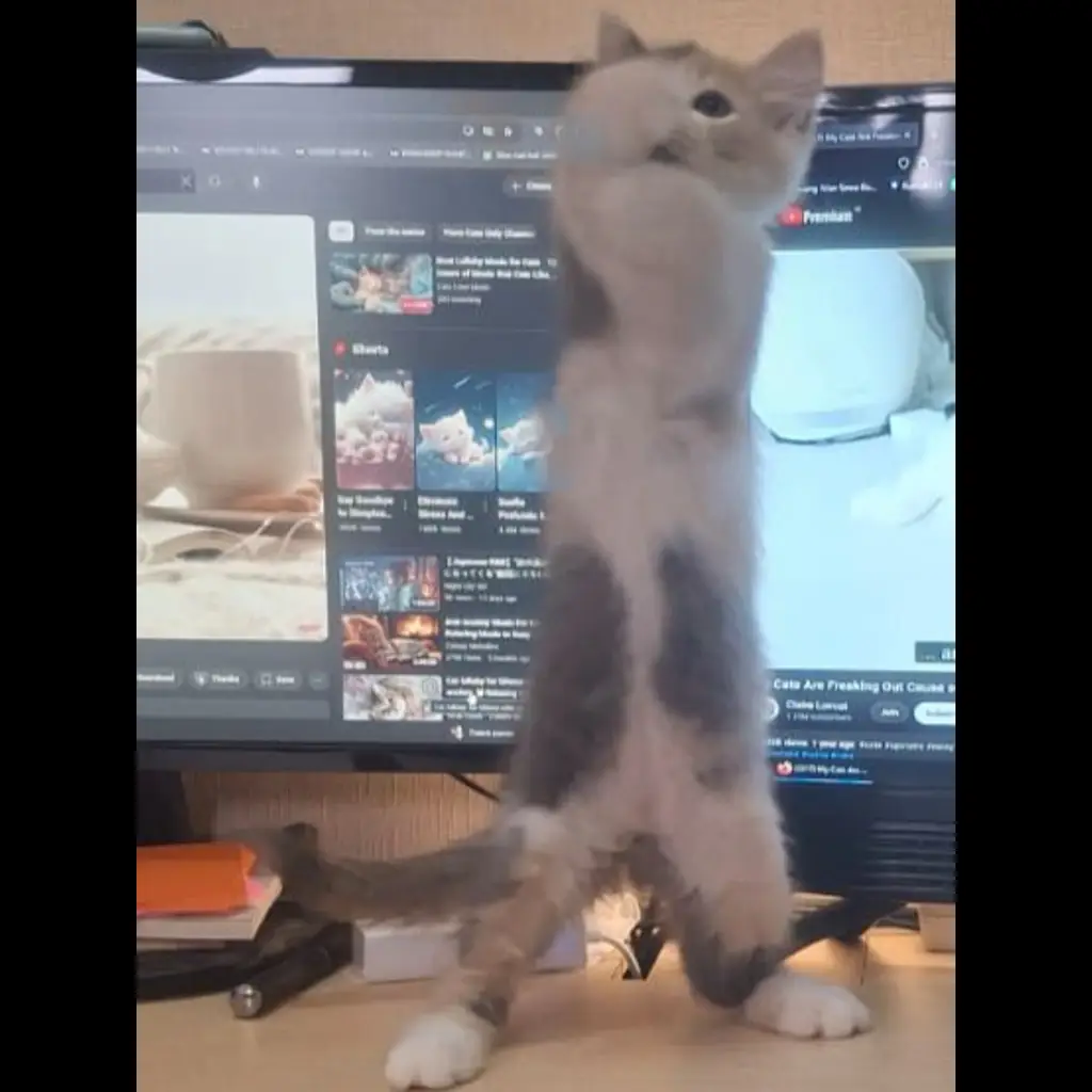 XWGGB1DJHSNAVV9ZVFJ0