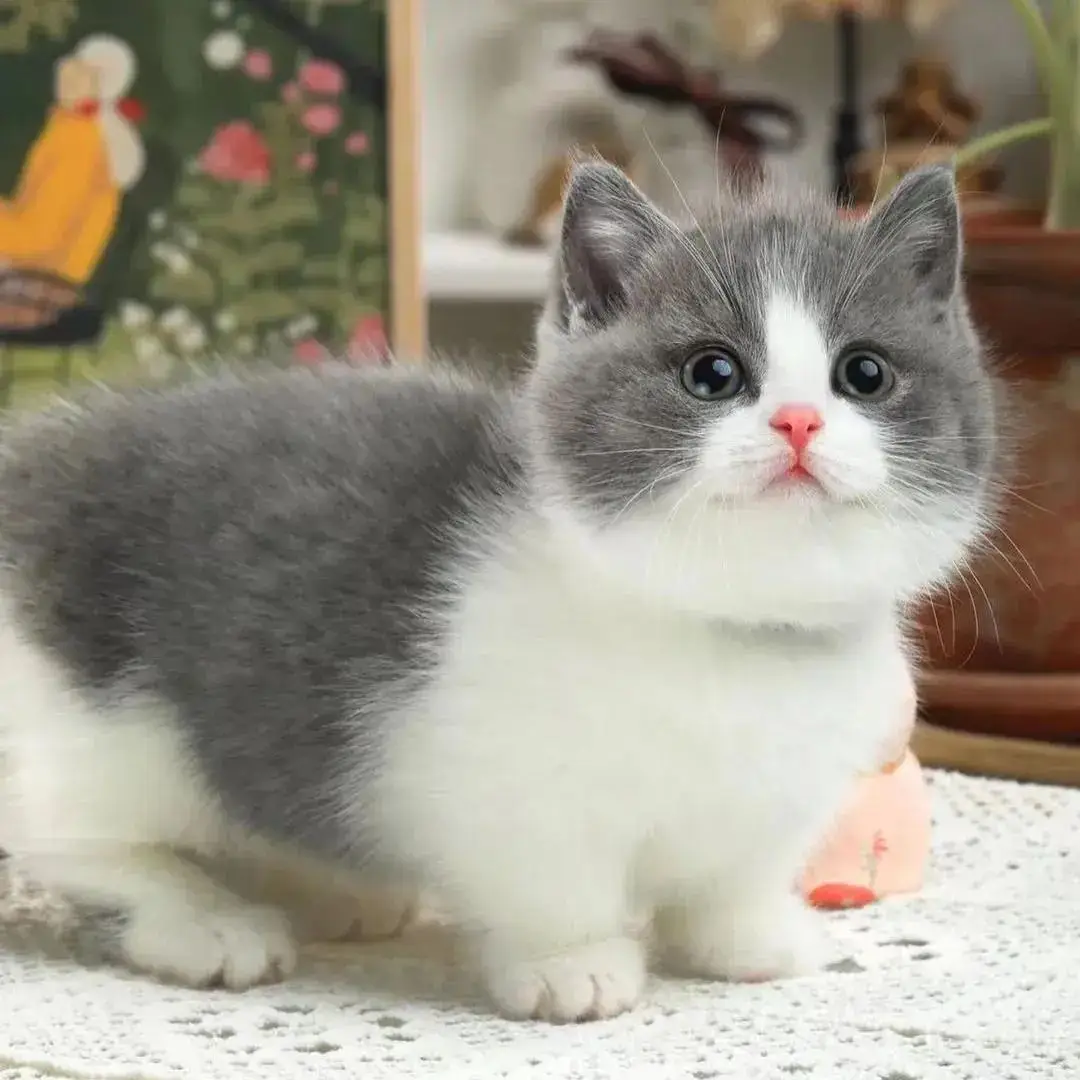 7EJ5MJVDUK3HLWERTK8E