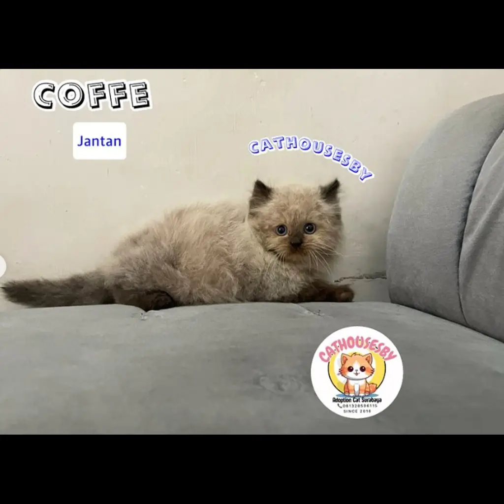 VFYEFU4QJIL55IACQVQ2