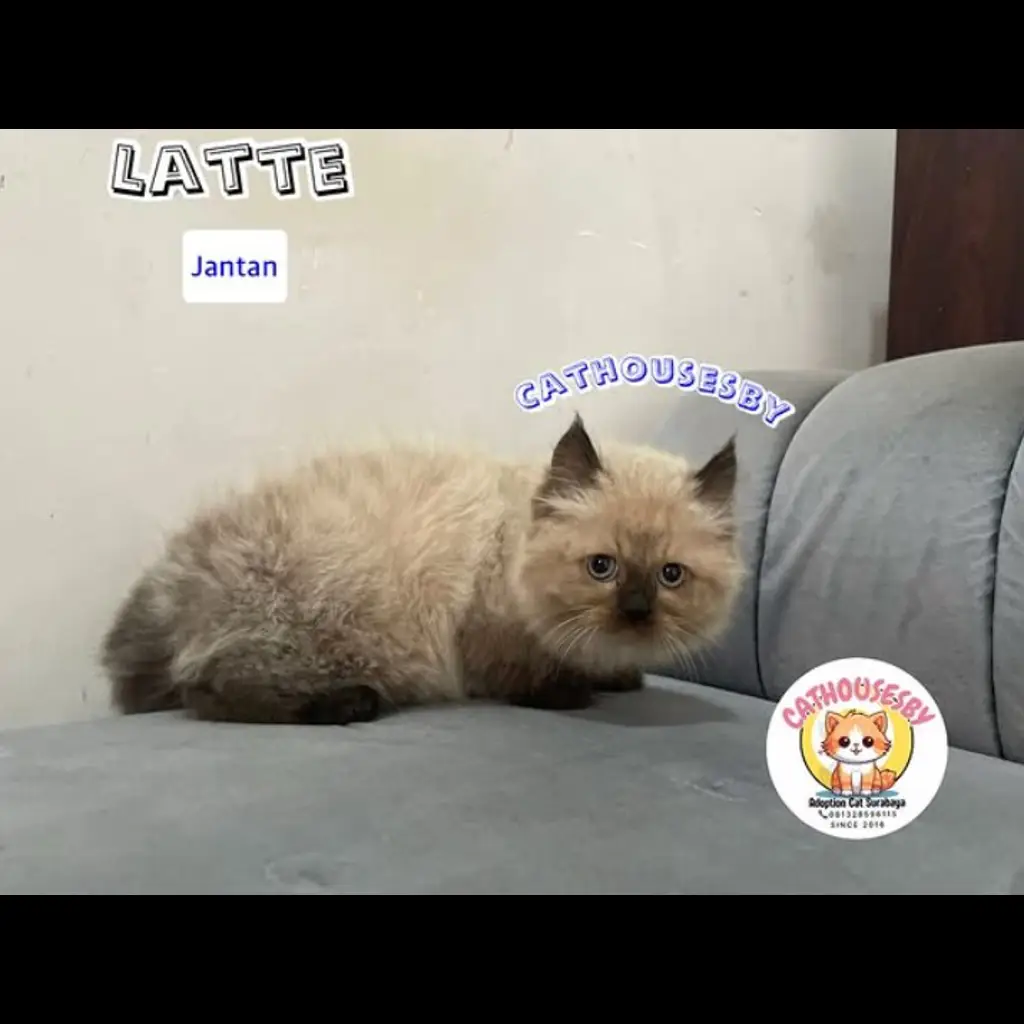 491UY9UQA4I6YLXMEUT6