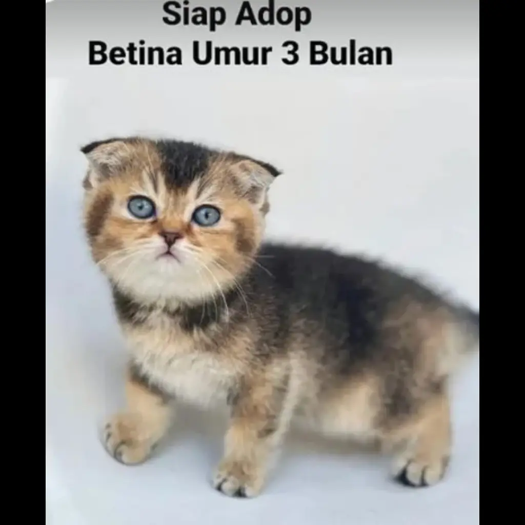 W8E0KYET0XF4UI3ES9FG