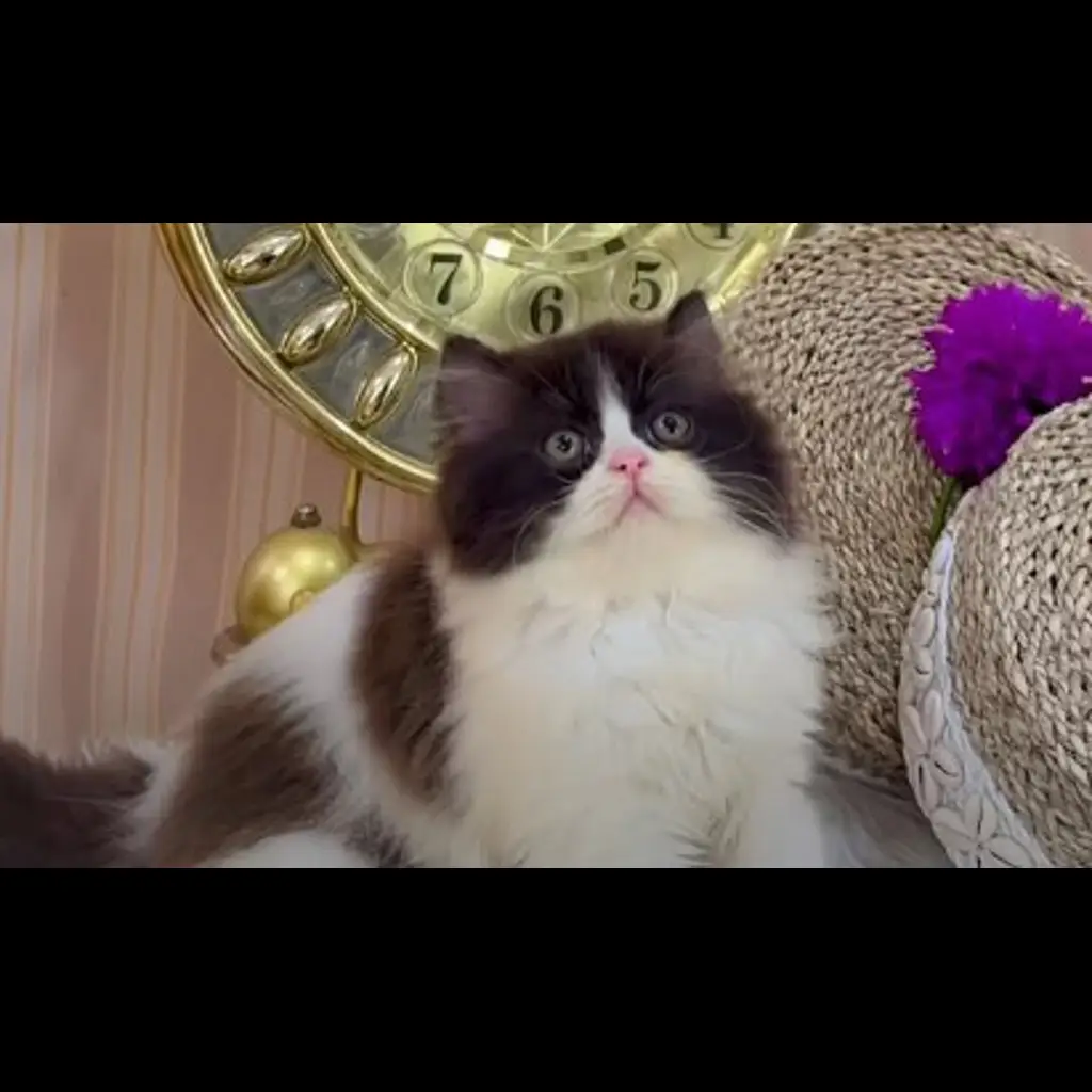 ZHXAC32QOJS8QVW5U1VV