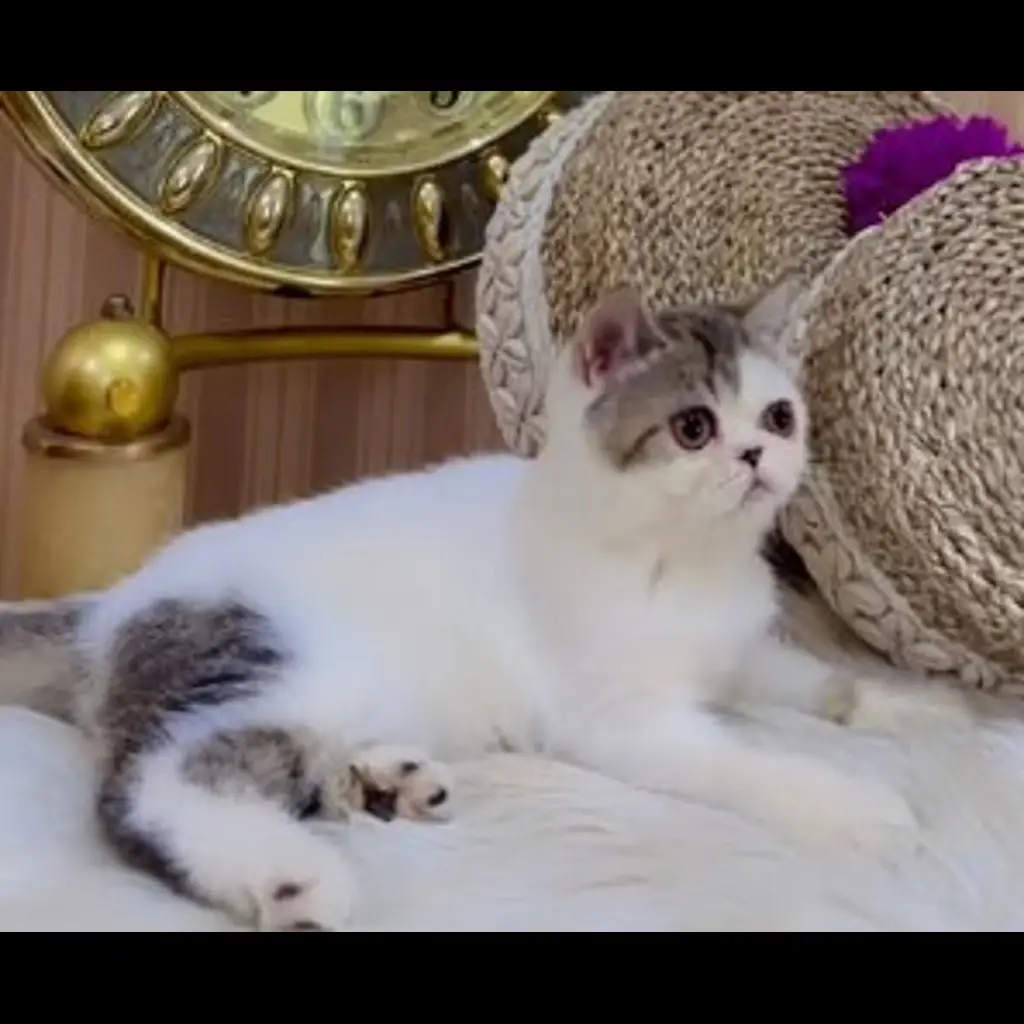 C4TZR1PWXQCXEDGSQ13Y