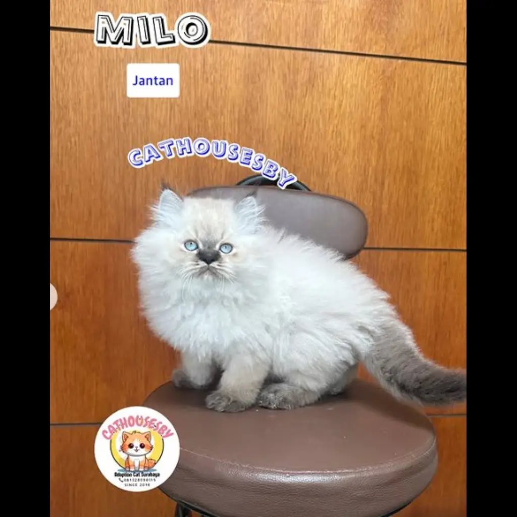 ZOY7HENW1KFGP3Y9CGFN