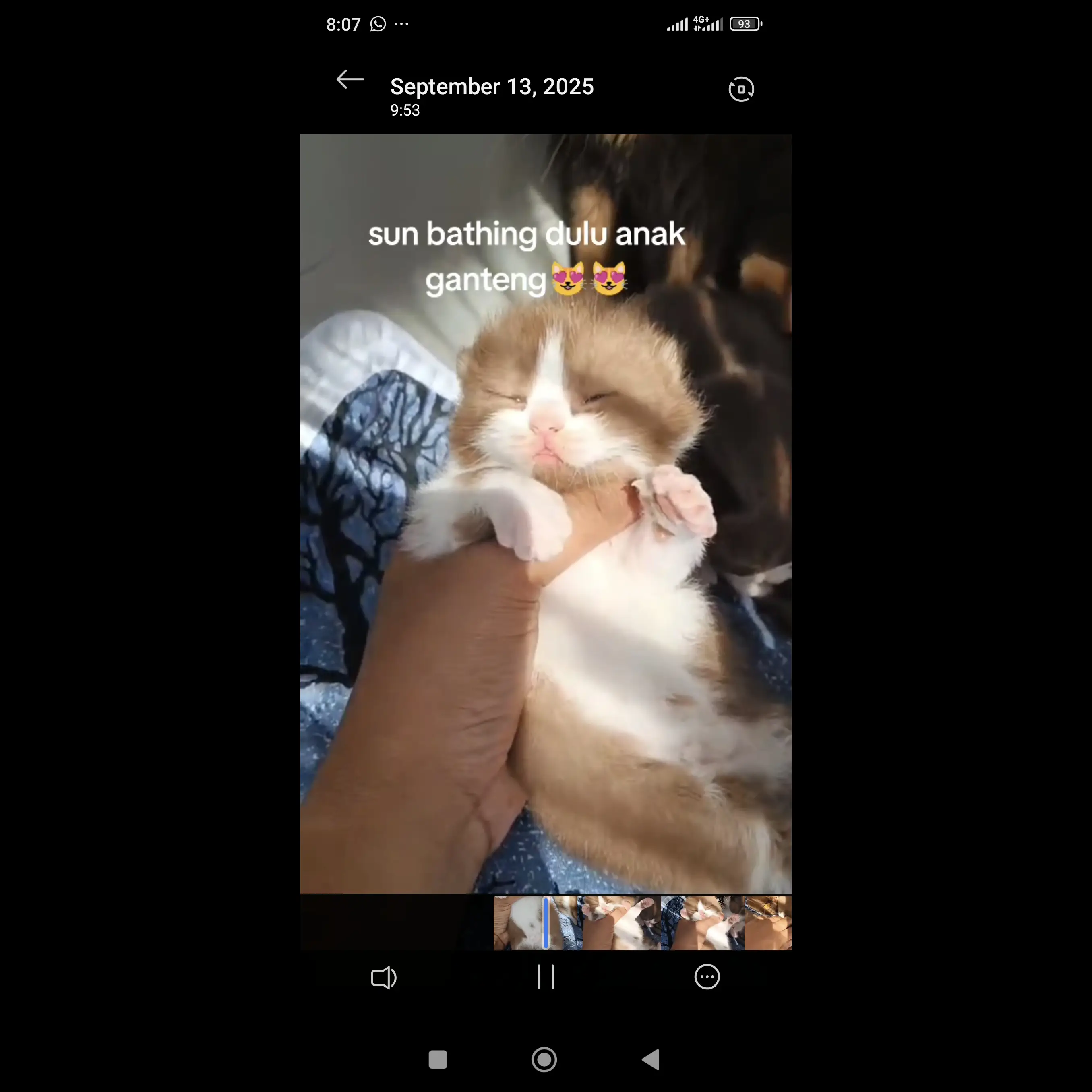 Y2KWEF7YMNAU3WIZ87MK