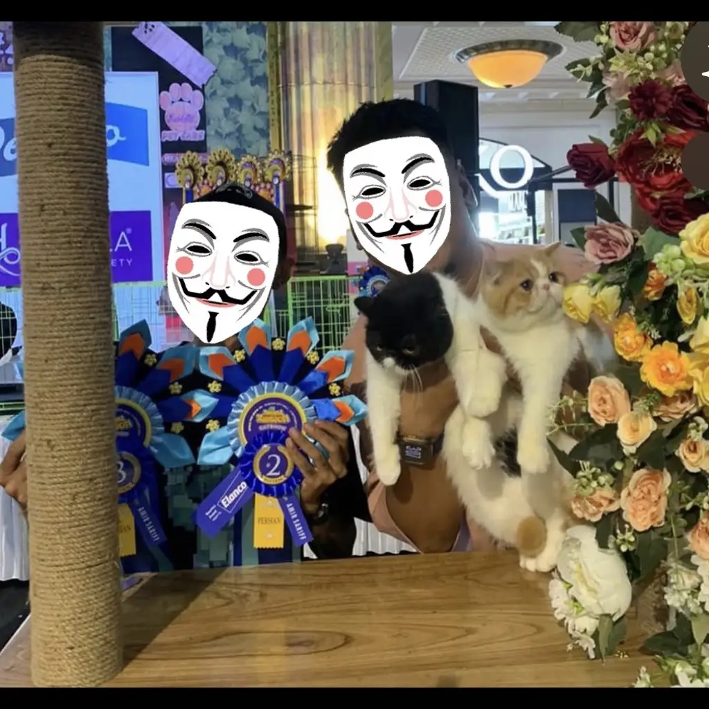 C2U1R0FY4YKMTXSWMDUO