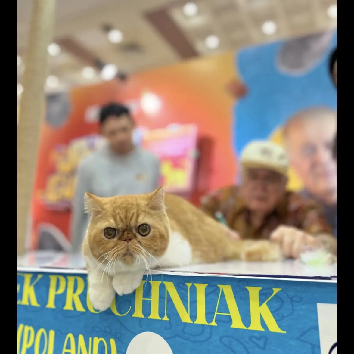 VOKKQIGXRVKCSIGNK70C