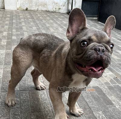 RHXYQ2FXGD