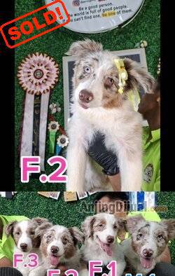 7IN6D0RO8B