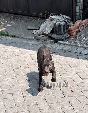 DM0DDBOJEM