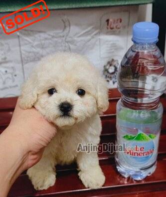 A9KNOY4SBQ