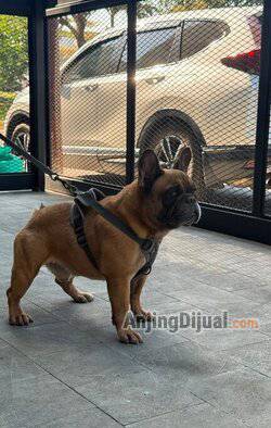 K9LCDM3707