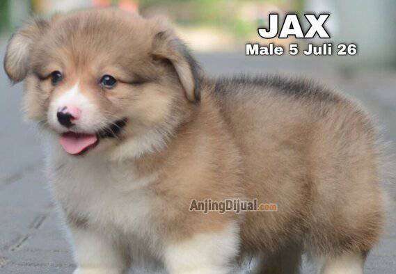 1QKG3JWMXX
