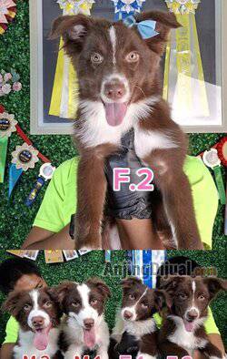 ZG86ICWUIW